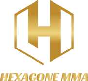 Logo Hexagonne MMA doree